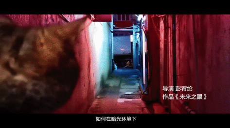 你和專業(yè)攝影師之間，除了10000次快門還差了什么？