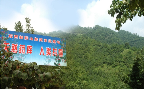 匠心傳承經(jīng)典！2019西普會(huì)“仲景”榮膺“健康中國(guó)·品牌榜”上榜品牌