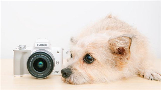 定格愛與正義！爆款微單EOS M50輕松拍攝萌寵寫真