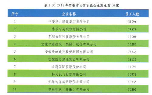 人工智能成經(jīng)濟(jì)增長(zhǎng)內(nèi)驅(qū)力 2018年科大訊飛納稅額近10億