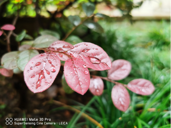 華為Mate30 Pro首發(fā)體驗，徠卡電影四攝讓你欲罷不能
