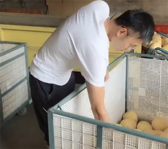 蘇寧拼購護航琯溪蜜柚上行：不止拼價格，更要拼品質(zhì)！
