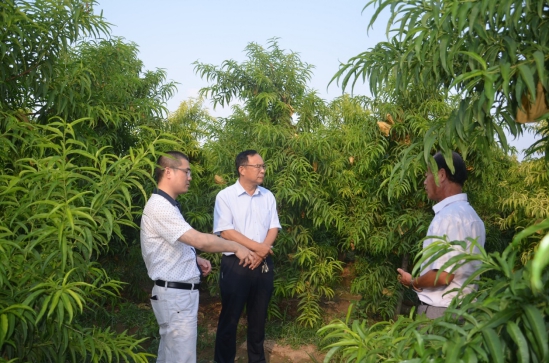 一年有一半的工作時間都在到處飛，他們在謀劃什么大事？
