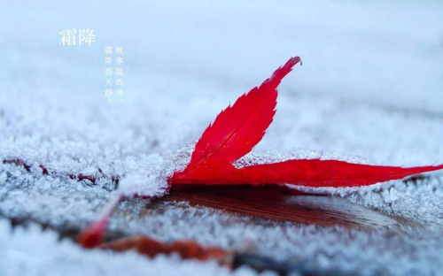 霜降金秋季 但有哈弗H6運動版送鉅惠溫暖