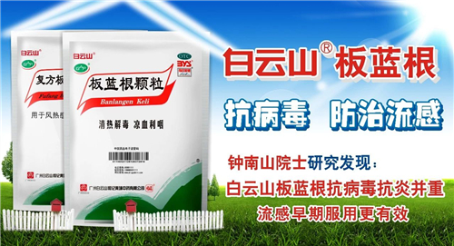 鐘南山：新板藍根藥效強五六倍，更多中國人獲諾貝爾獎是遲早的事
