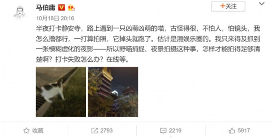 必看！教你旅游時讓鋼鐵直男從死亡視角逆襲成攝影黑馬！