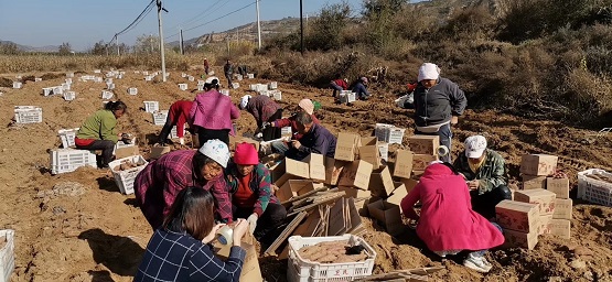 僅用一個小程序，傳統(tǒng)國貨品牌七匹狼挺進下沉市場實現(xiàn)新增客流90萬