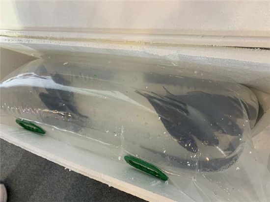 順豐、京東、中通、德邦、百世、蘇寧、菜鳥等名企炫技！物流人的飯碗還保得住嗎？