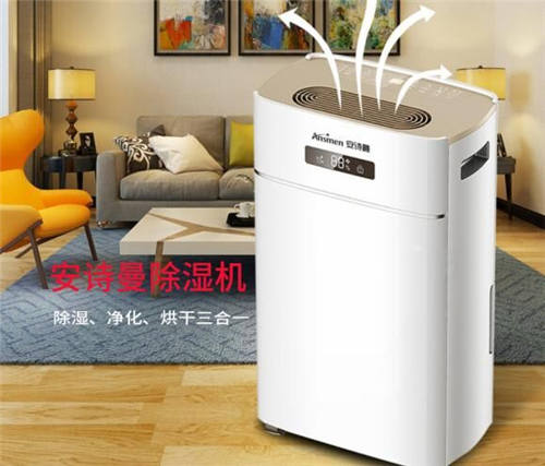 除濕機哪個牌子好？告別細菌、霉味一步到位