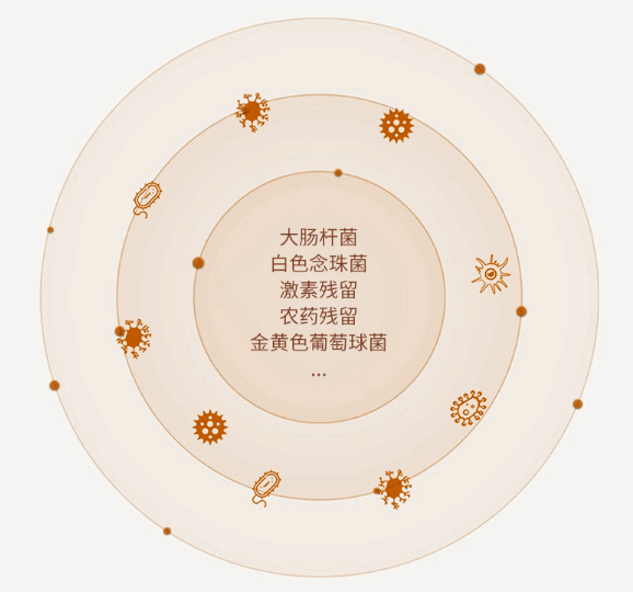 法格果蔬清洗機(jī)，清洗更“凈”一步