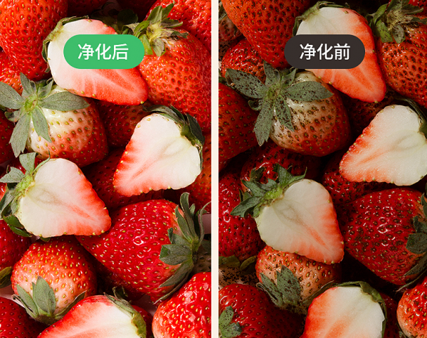 法格果蔬清洗機(jī)，清洗更“凈”一步