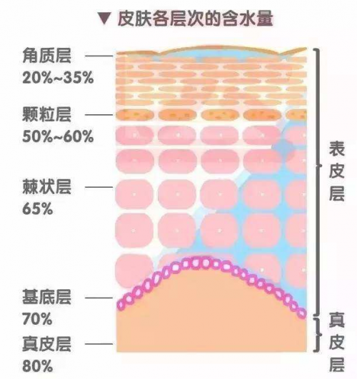 干皮如何補(bǔ)水？正確補(bǔ)水方式讓你度過(guò)干燥春季