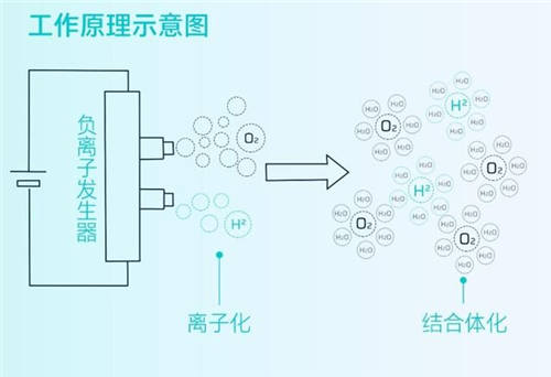 守護(hù)全方位，安全無死角，HYCAN 007將搭載HEPA高效空調(diào)濾芯