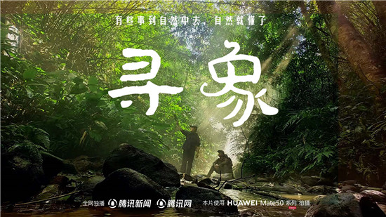 去雨林深處，聽大象長吟，自然紀(jì)錄片《尋象》正式上線！