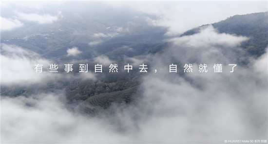 去雨林深處，聽大象長吟，自然紀(jì)錄片《尋象》正式上線！