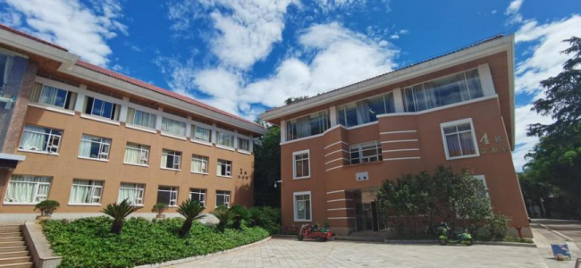 功效和科研雙重驅動，石斛開啟沉浸式護眼體驗