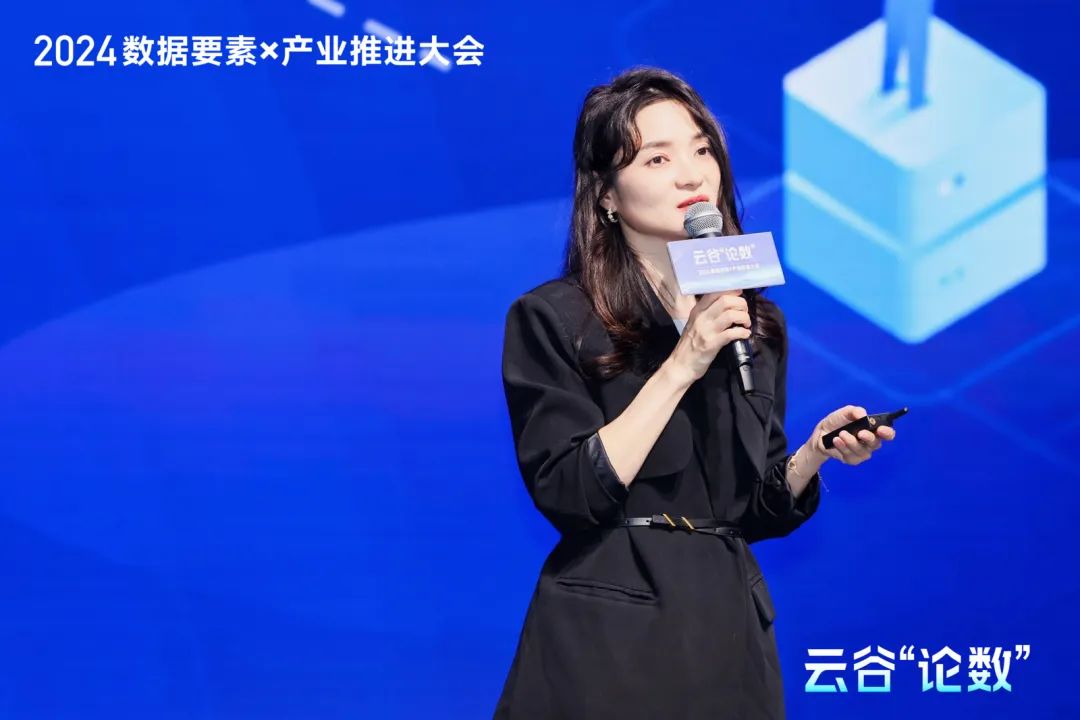 2024云谷“論數(shù)”：數(shù)據(jù)要素×產(chǎn)業(yè)的新要素，新業(yè)態(tài)，新增長(zhǎng)