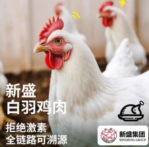 http://sanwutuku.cn/uploadfile/pic2020/2024/0627/202406271000058G.jpg