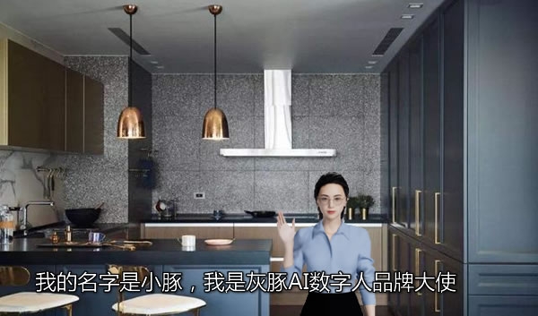 2024世界人工智能大會(huì)，灰豚AI數(shù)字人以可視化的方式迎面而來(lái)