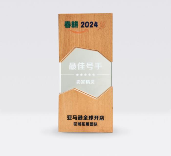 賣家精靈榮獲亞馬遜TSPN 2024年度服務(wù)商—卓越領(lǐng)航獎！
