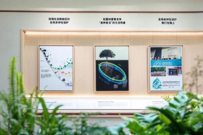 弘揚(yáng)高山植物魅力，植物醫(yī)生高山松露博物館驚艷亮相昆明