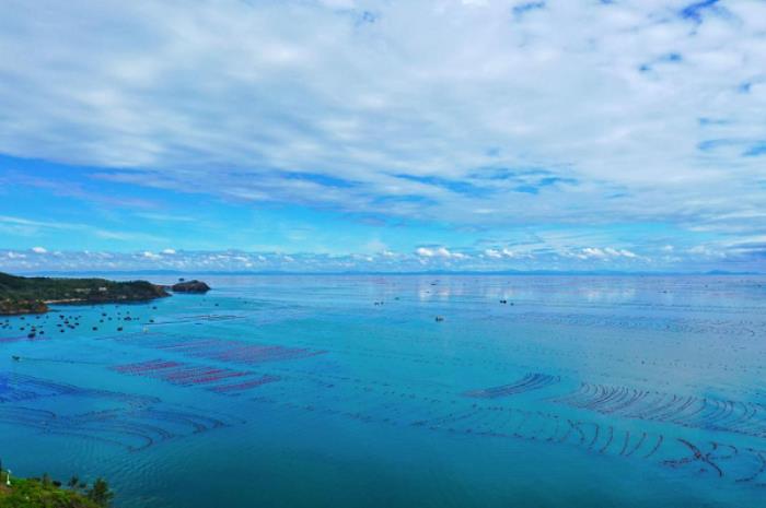 長海海螺，鮮味崛起，璀璨未來