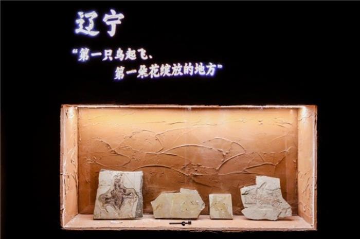 BOE（京東方）打造東北首個沉浸式數(shù)字藝術體驗空間 科技解碼文明釋放數(shù)字文旅想象力