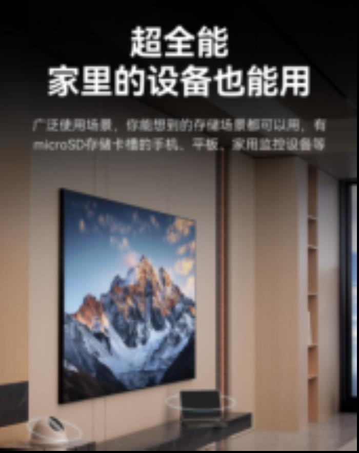 雷克沙推出Professional SILVER PLUS microSD存儲(chǔ)卡，滿足多種設(shè)備需求