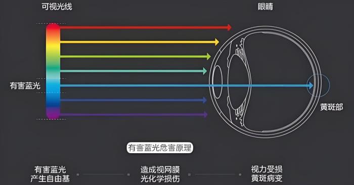 愛眼日特別關(guān)注：當我們在看屏幕時，眼睛正在經(jīng)歷什么？