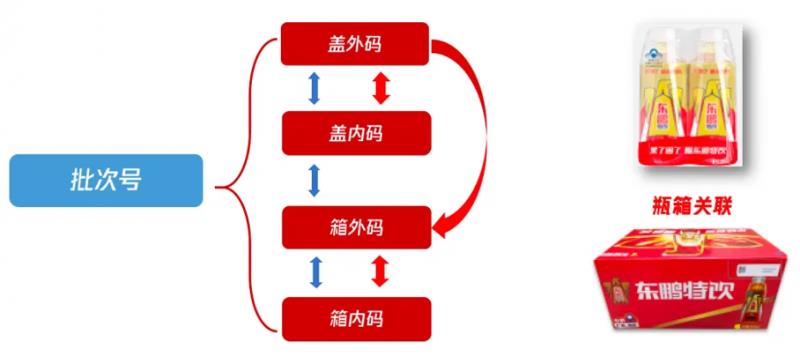 民族品牌創(chuàng)新標桿：小米「芯」突破與東鵬飲料「質(zhì)價比」突圍