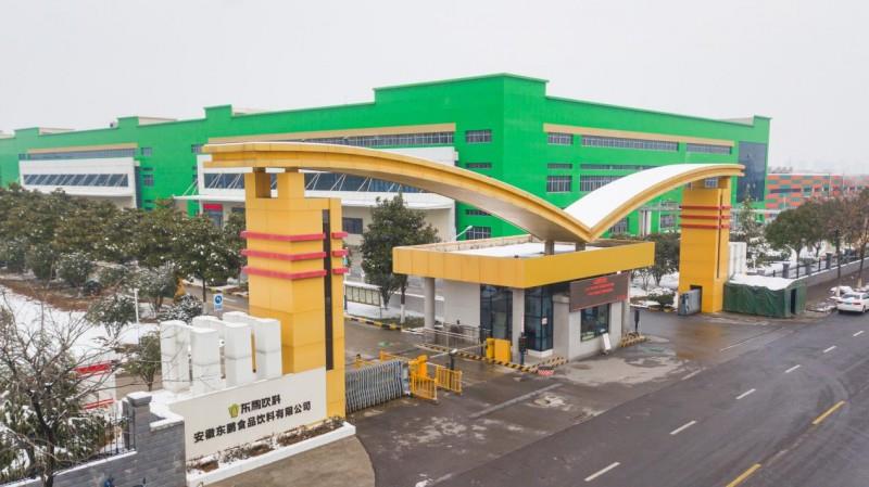 民族品牌創(chuàng)新標桿：小米「芯」突破與東鵬飲料「質(zhì)價比」突圍