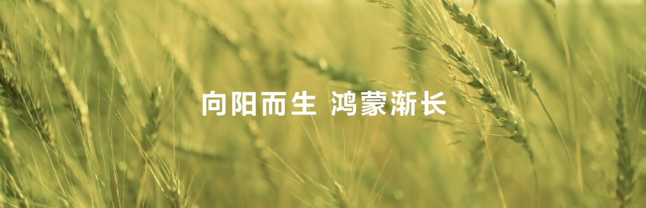 鴻蒙系統(tǒng)級AI賦能，華為閱讀不斷拓展數(shù)字閱讀邊界