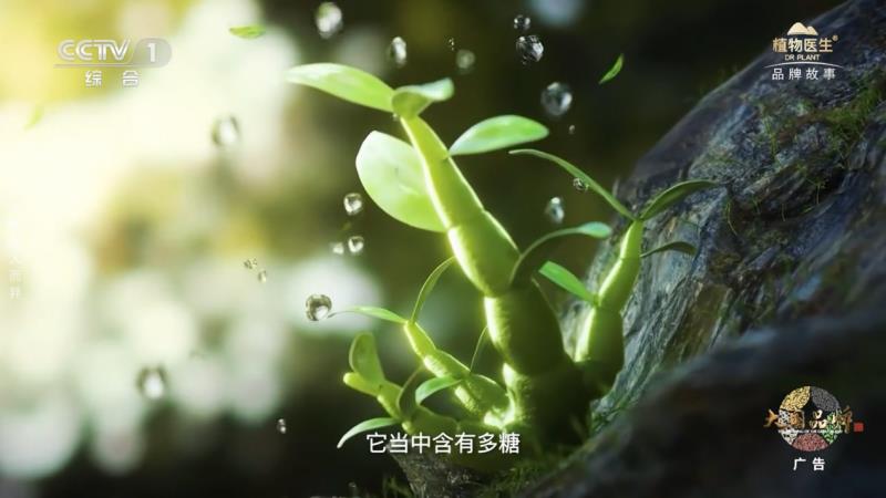當(dāng)民族智慧對(duì)話央視鏡頭，植物醫(yī)生以中國(guó)成分“破壁”敘事