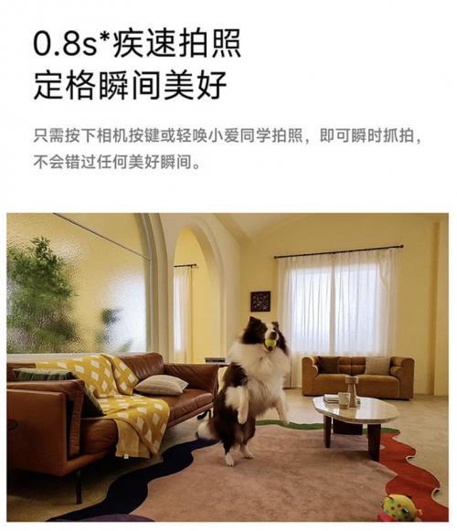 1999元可在京東入手小米AI眼鏡 附贈京東配鏡服務(wù)免費送鏡片